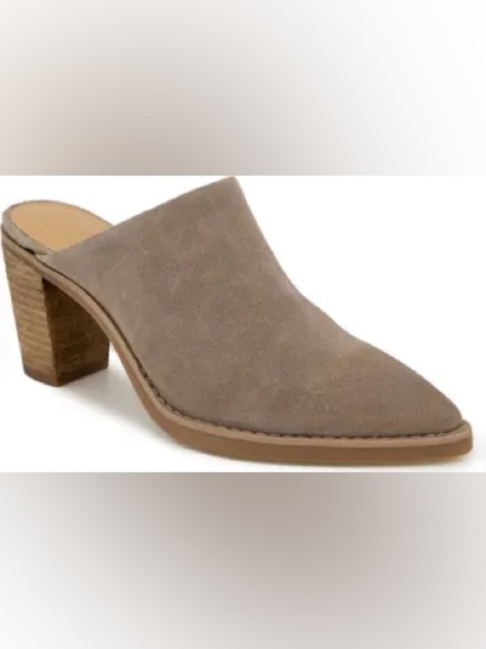 Splendid Taupe Suede Pointed-Toe Mule Heel